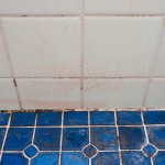 浴室の床付近のタイルの汚れとカビ